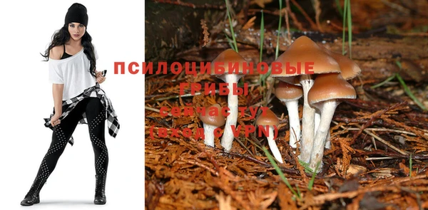 марихуана Абаза