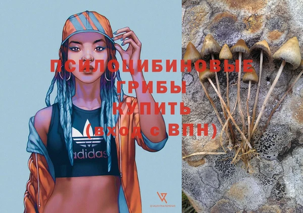 дмт Абинск