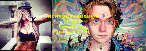 ГАЛЛЮЦИНОГЕННЫЕ ГРИБЫ Абдулино