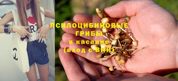 мяу мяу мука Алзамай
