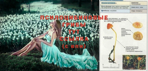 марихуана Абаза
