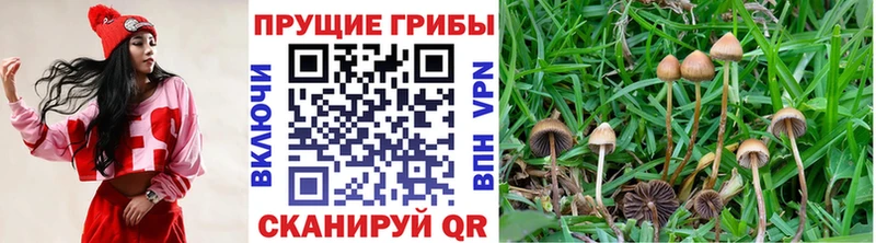 Галлюциногенные грибы GOLDEN TEACHER  Яровое 
